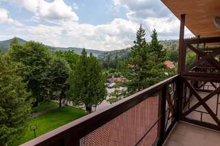 Отель Edelweiss Яремче Апартаменты-22